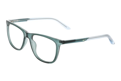 Brille Nike NIKE 7132 447