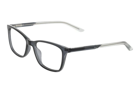 Brille Nike NIKE 7133 033