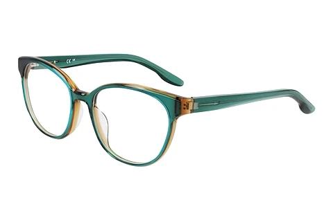 Brille Nike NIKE 7164 314