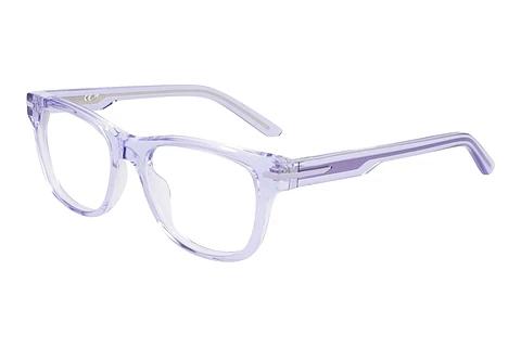 Brille Nike NIKE 7176 557