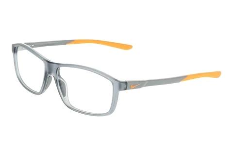 Brille Nike NIKE 7291 034