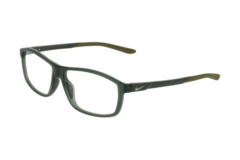 Brille Nike NIKE 7291 N 302
