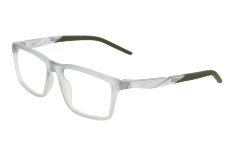 Brille Nike NIKE 7295 030