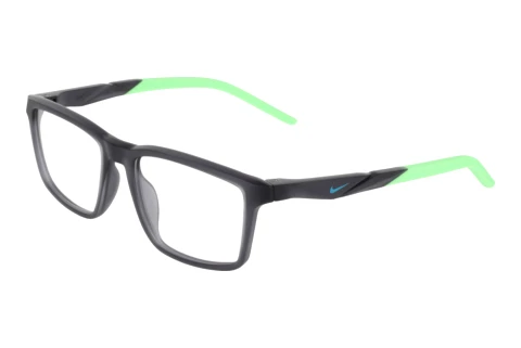 Brille Nike NIKE 7295 039