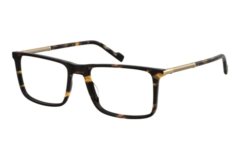Brille Pierre Cardin P.C. 6291 086