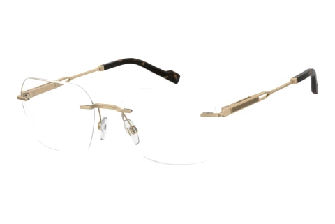 Brille Pierre Cardin P.C. 6921 J5G