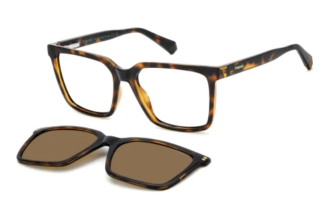 Brille Polaroid PLD D556/C 086