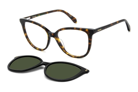 Brille Polaroid PLD D605/C 086