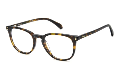 Brille Polaroid PLD D609 086
