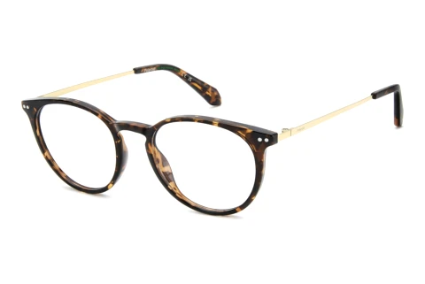 Brille Polaroid PLD D617 086