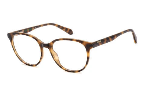 Brille Polaroid PLD D624 086
