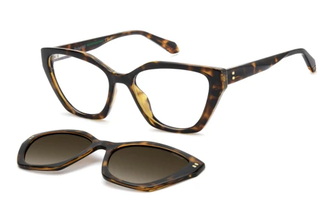 Brille Polaroid PLD D637/C 086