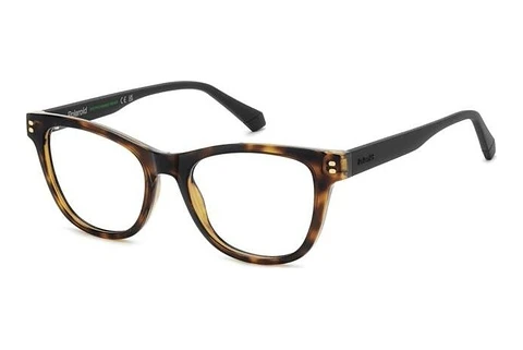 Brille Polaroid PLD D848 086