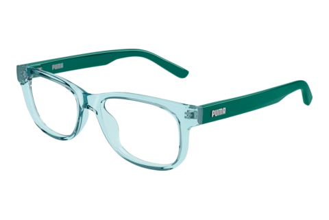 Brille Puma PJ0093O 006