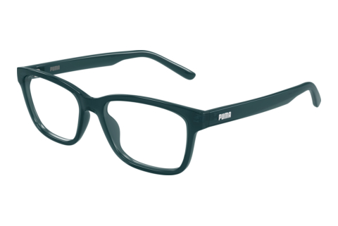 Brille Puma PU0529O 004
