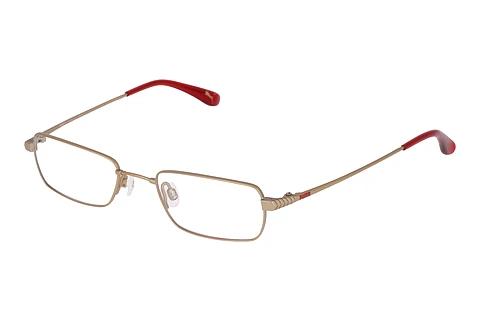 Brille Puma PU15241 BE