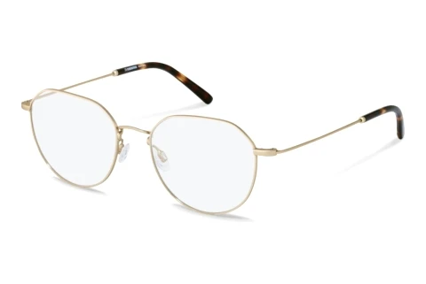 Brille Rodenstock R2632 G000