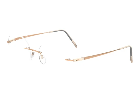 Brille Silhouette Racing Collection (5502-BT 8541)