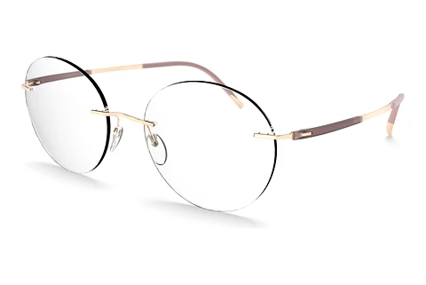 Brille Silhouette Titan Dynamics Contour (5540-MA 3530)