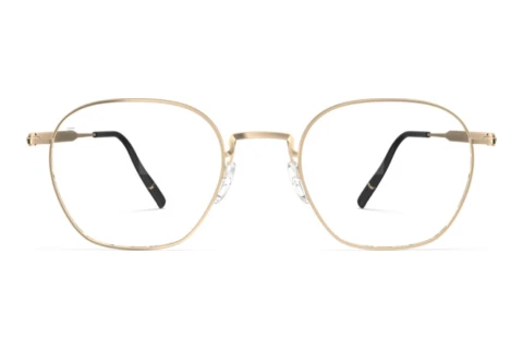 Brille Silhouette Pure Visionary (5592 7631)
