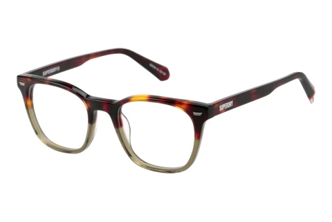 Brille Superdry SD 993101 64