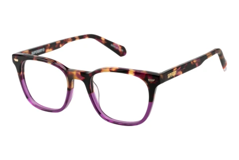 Brille Superdry SD 993101 65
