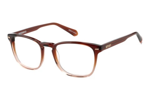 Brille Superdry SD 993102 66