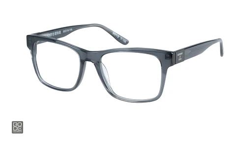 Brille Superdry SDO 2013 113