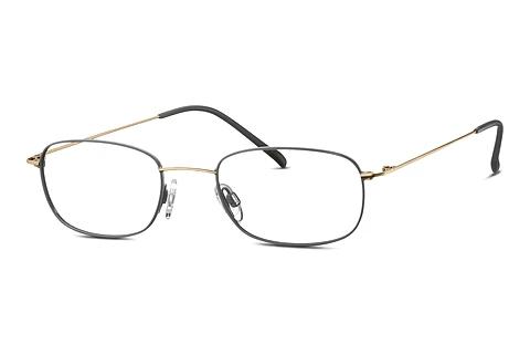 Brille TITANFLEX EBT 820850 20