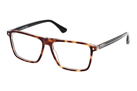 Brille Web Eyewear WE5442 056