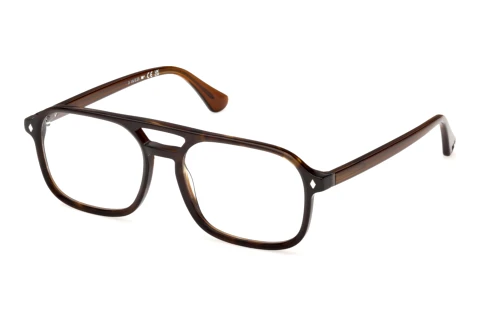 Brille Web Eyewear WE5473 052