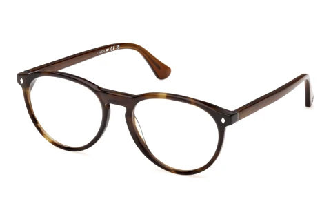 Brille Web Eyewear WE5474 056