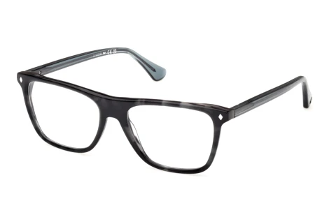 Brille Web Eyewear WE5475 056