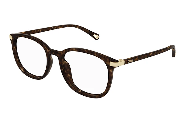 Brille Chloé CH0247OA 002
