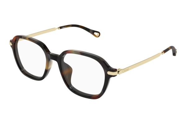 Brille Chloé CH0361OA 002