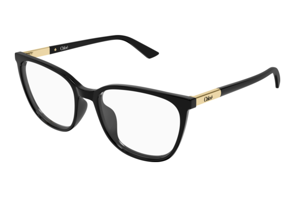 Brille Chloé CH0370OL 001