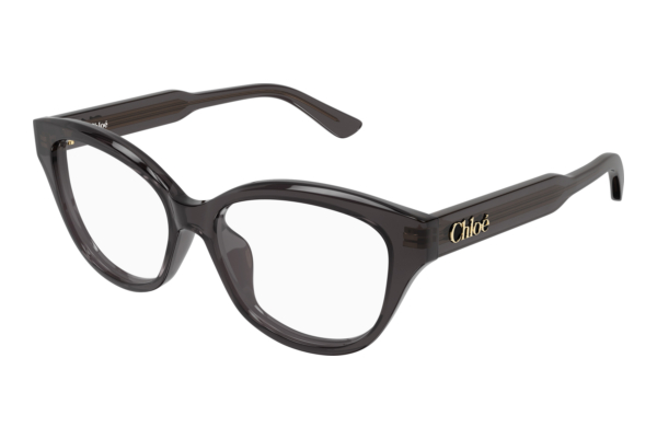 Brille Chloé CH0381OL 006