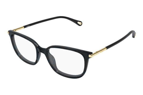 Brille Chloé CH0400O 001