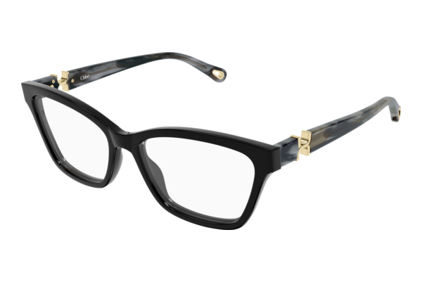 Brille Chloé CH0412O 001