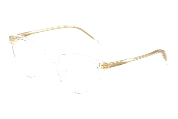 Brille Dolce & Gabbana DX3002 3133