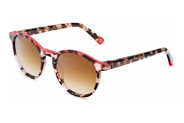 Brille Etnia Barcelona AVINYO 3 SUN HVRD