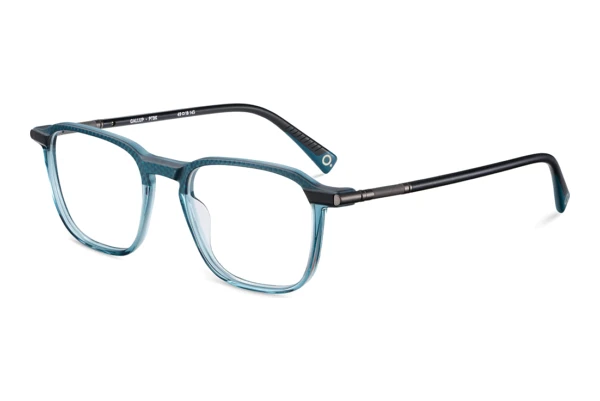 Brille Etnia Barcelona GALLUP PTBK