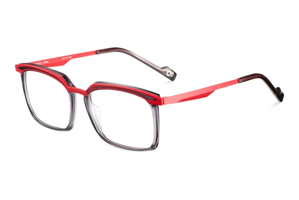 Brille Etnia Barcelona MATTEO GYRD