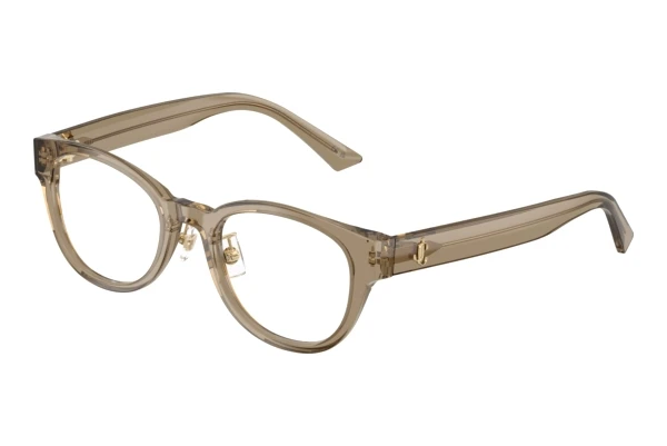 Brille Jimmy Choo JC3058D 5051