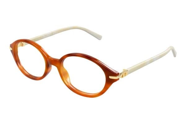 Brille Valentino VG0049O 003