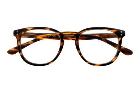  I NEED YOU ROBIN havanna D3.00