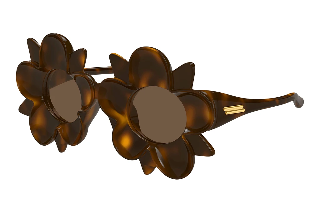 Bottega Veneta   BV1399S 008 HAVANA