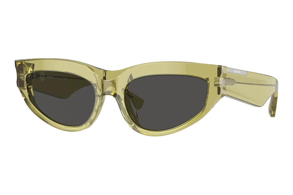 Burberry   BE4425U 411887 Dark GreyGreen