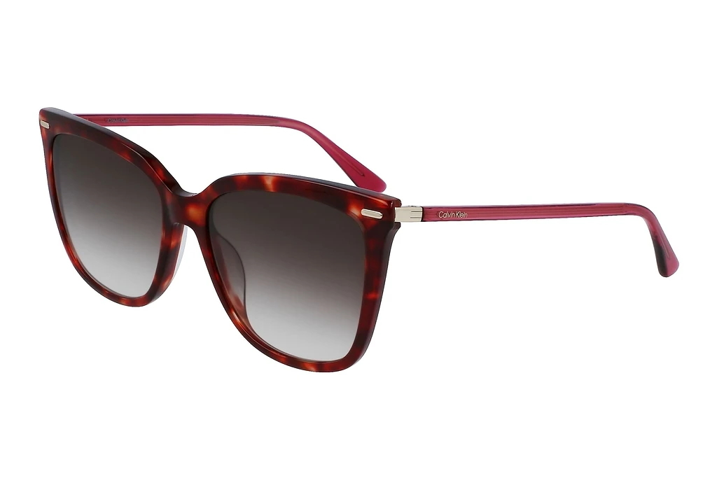 Calvin Klein   CK22532S 609 RED BURGUNDY HAVANA