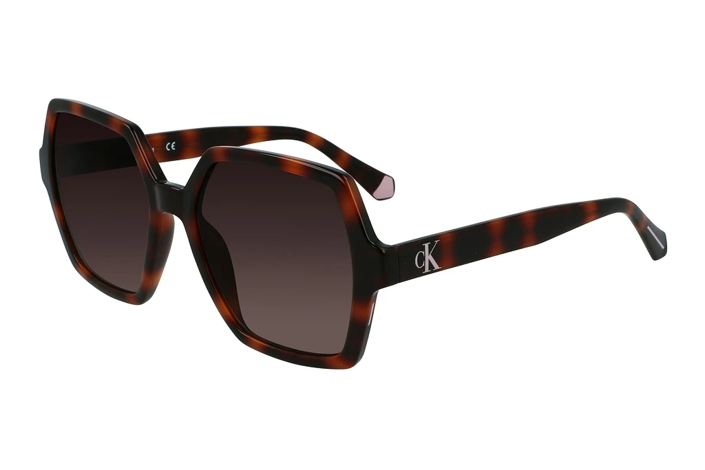 Calvin Klein   CKJ21629S 240 BROWN TORTOISE